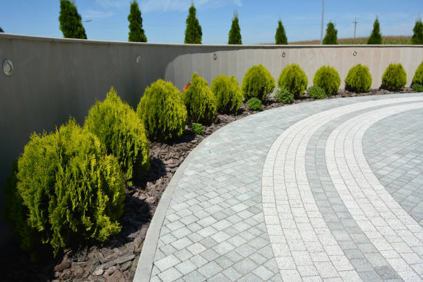 Best Driveway Paving Contractor  in Gainesville, VA